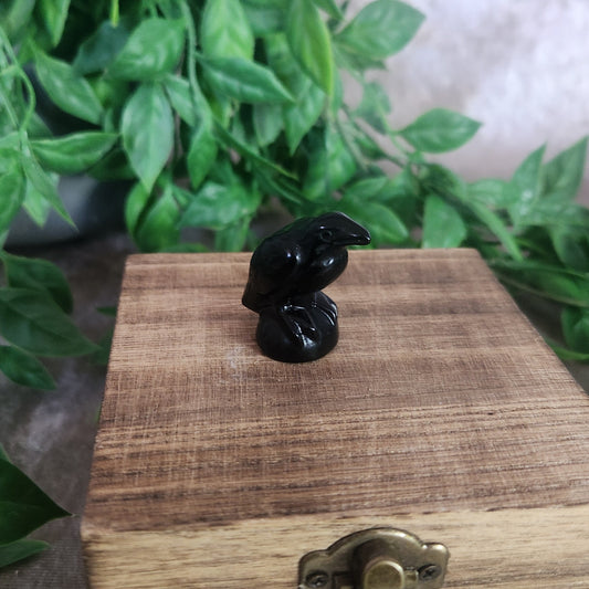 Small Black Obsidian raven carving on wooden display box