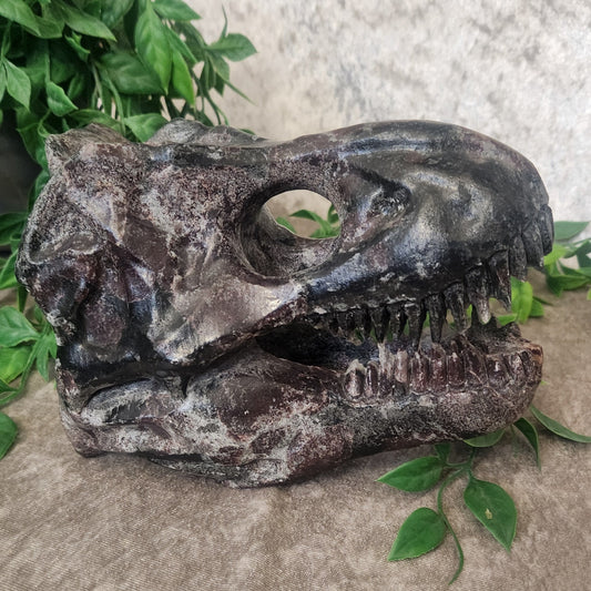 Detailed Dinosaur Skull carve from Garnet in Arfvedsonite