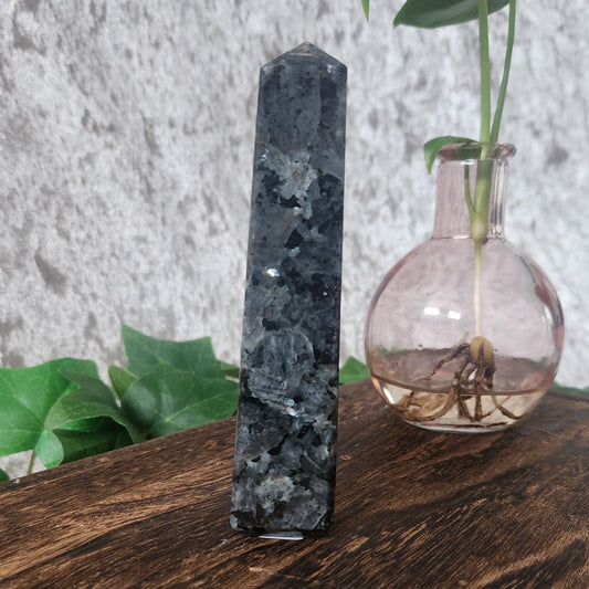 Larvikite Tower displayed on wooden box with plant and greenery 