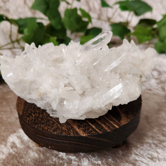 Clear Quartz Cluster – Starfield of Sparkles – Spellbound Crystal Boutique