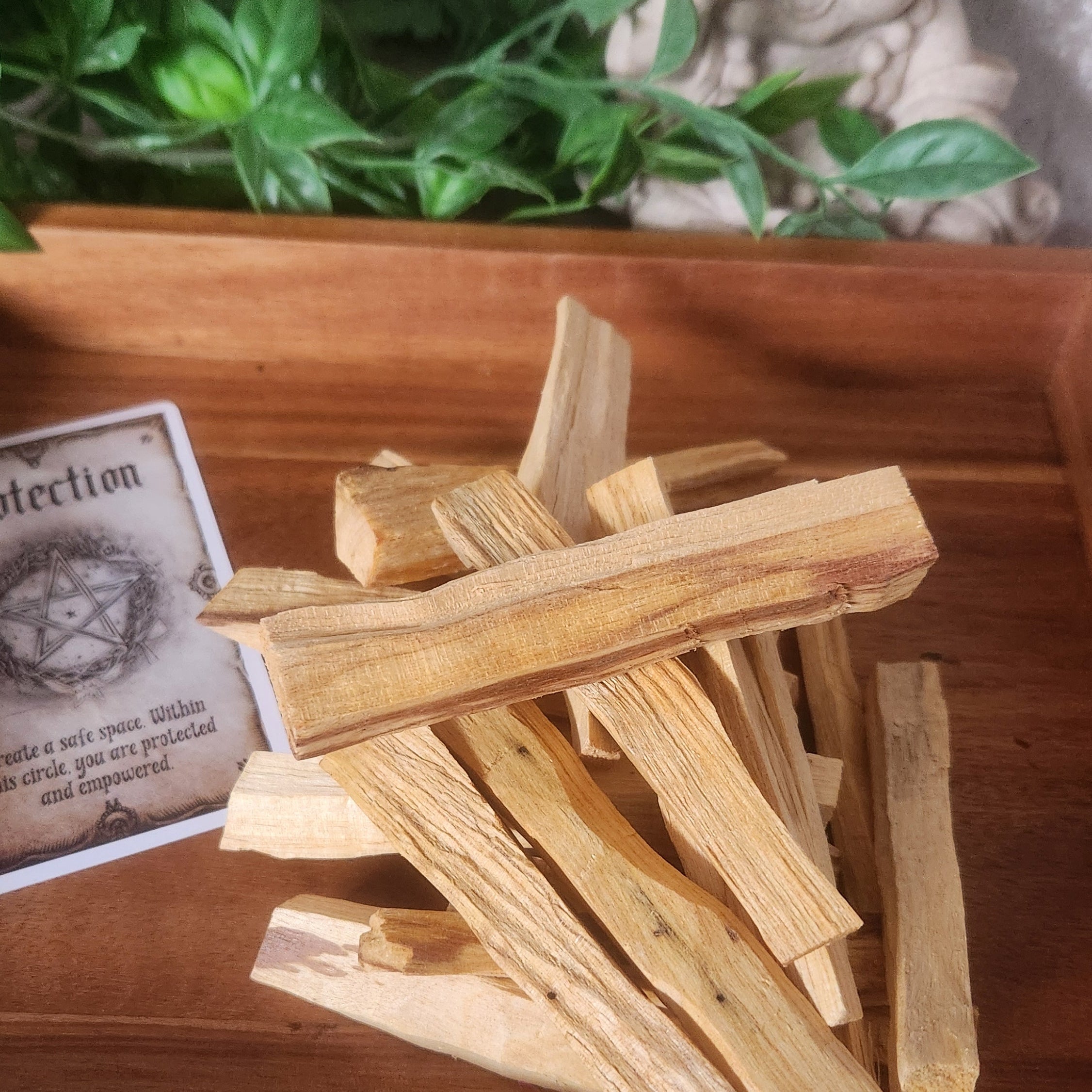 Palo Santo – Sacred Wood of Cleansing & Renewal – Spellbound Crystal Boutique