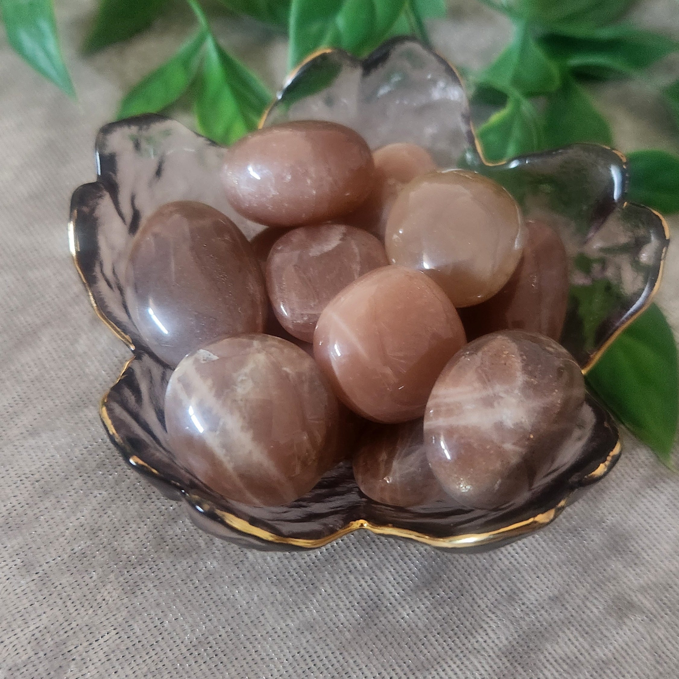 Peach Moonstone tumbles for divine feminine energy, intuition and emotional harmony