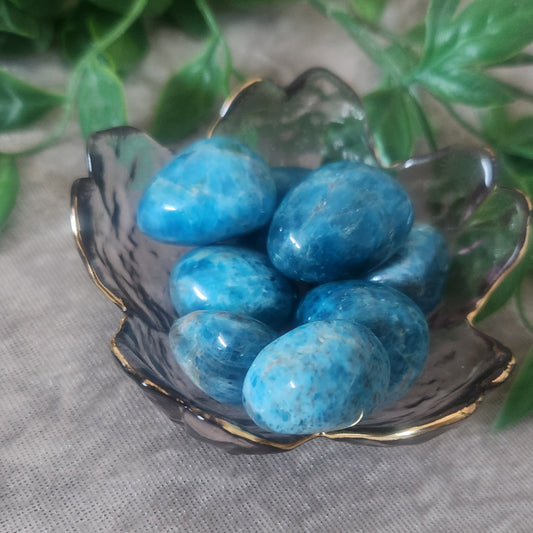 Blue apatite pocket stone tumble set amongst green foliage and velvet background