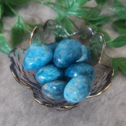 Blue Apatite tumbles for clarity, motivation and inspired action
