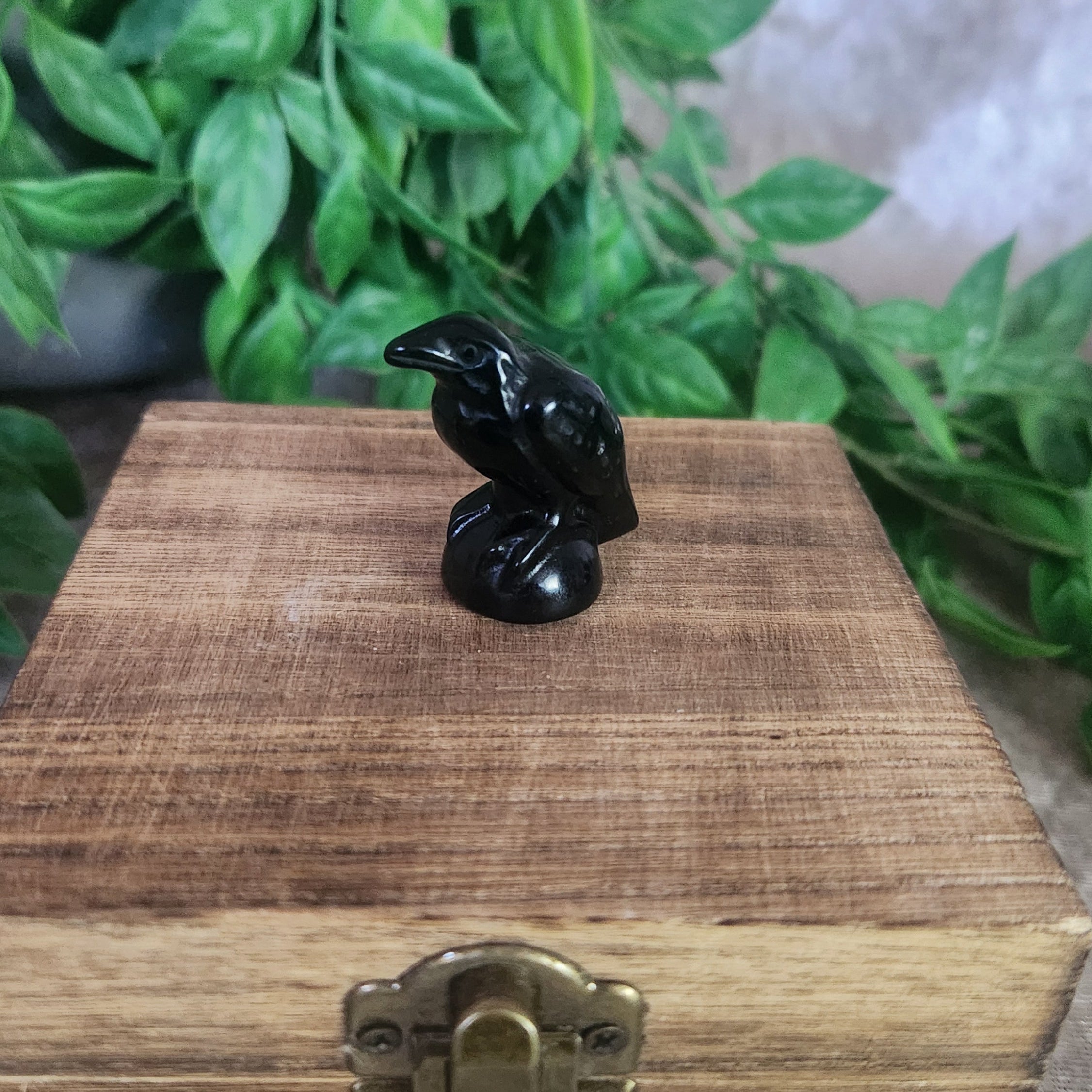 Small Black Obsidian raven stone carving for altar display