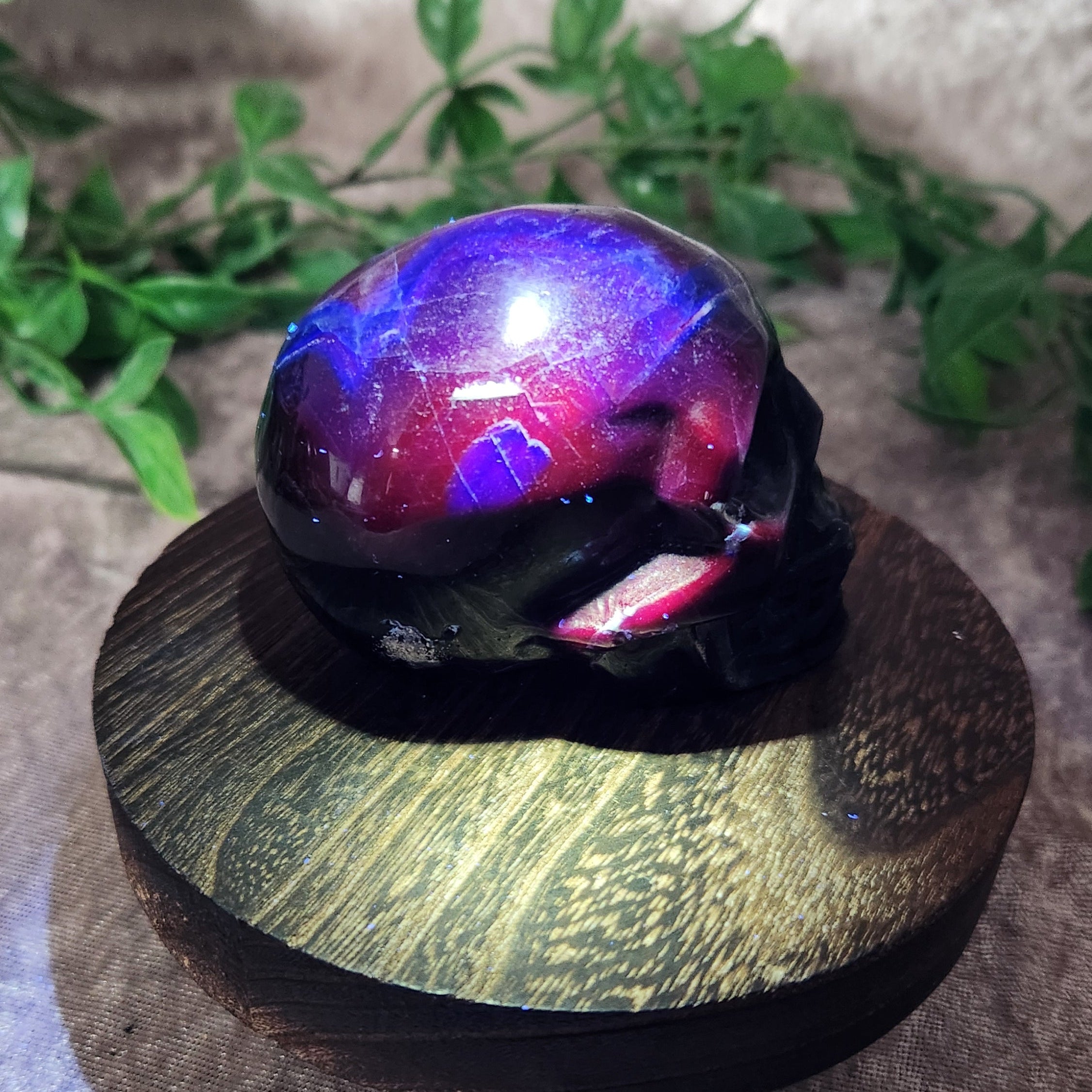 UV-reactive Black Rose Fluorite skull — right side angle with vivid streaks under 365nm UV light.