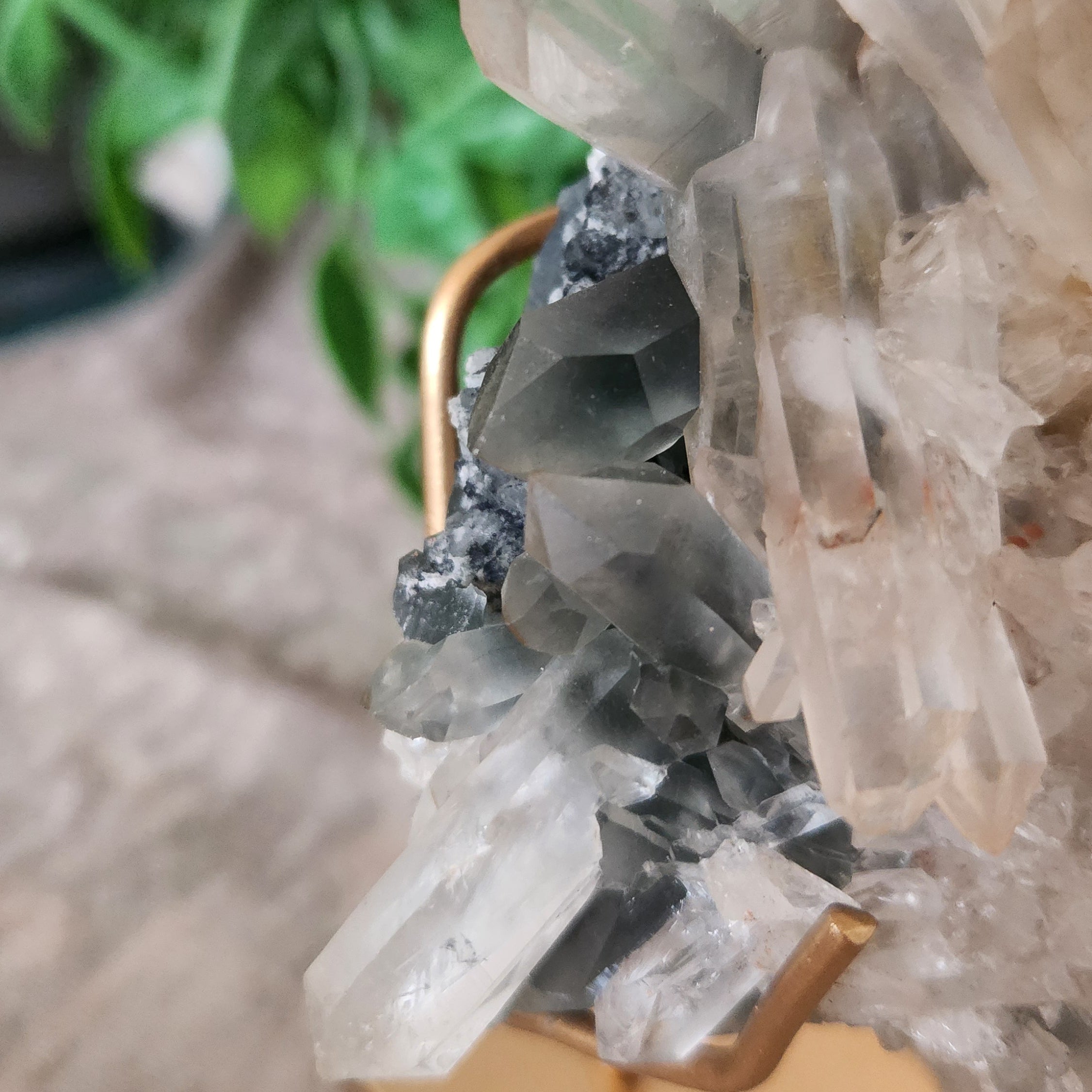 Close-up of Blue Tara Quartz points showing natural rainbows, fine etching, and clarity on a gold display stand.