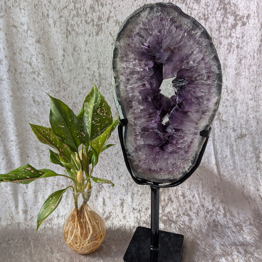 Brazilian Amethyst Portal with layered druzy crystals, styled beside greenery for a serene and elevated display look.