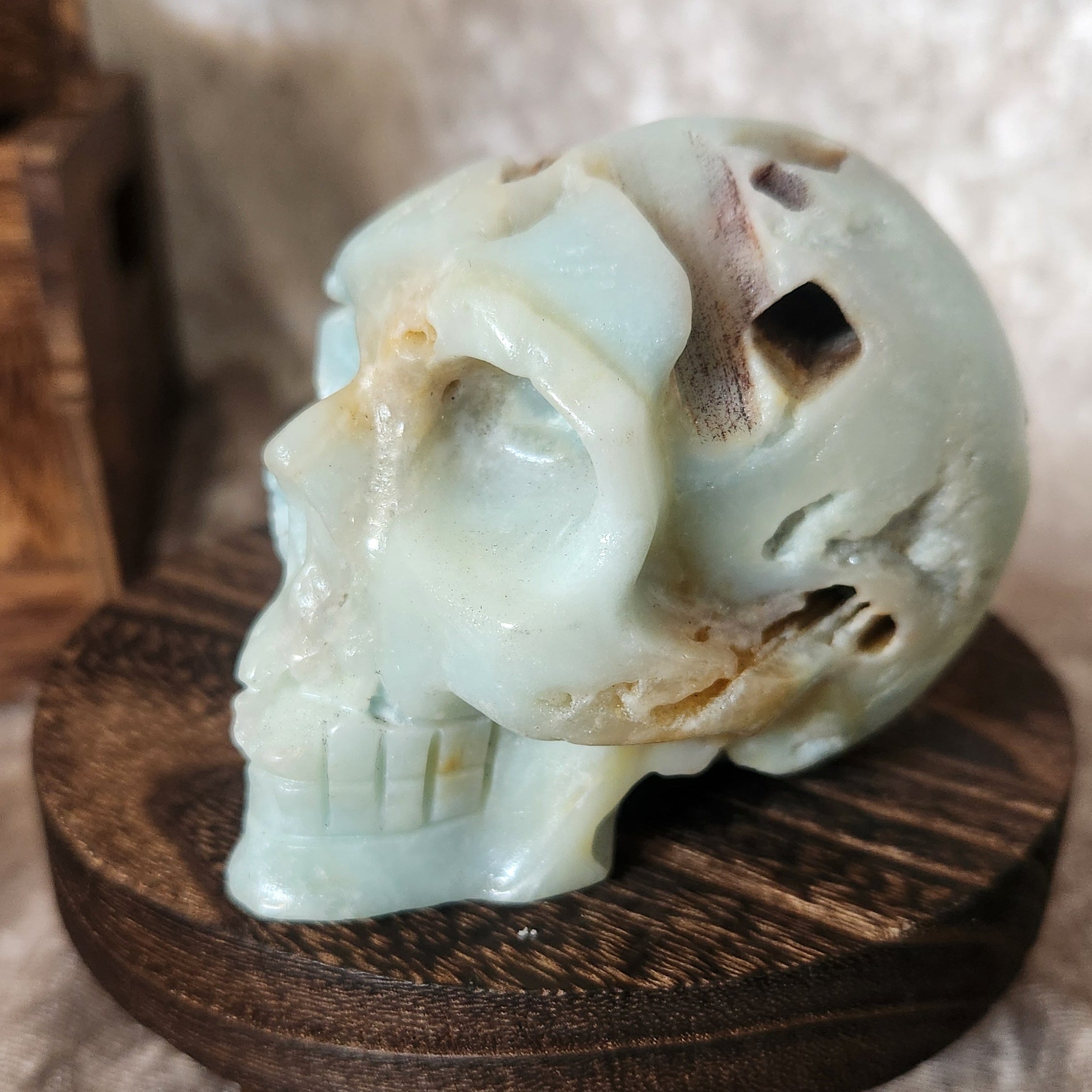 Caribbean Calcite Skull – Gateway to Calm & Higher Consciousness (375g) – Spellbound Crystal Boutique