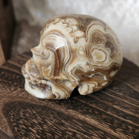 Chocolate Calcite Skull – Collector’s Carving of Strength & Grounding (224g). – Spellbound Crystal Boutique