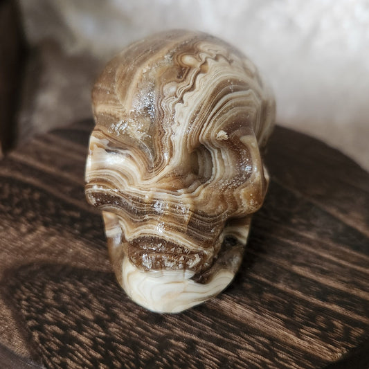 Hand-carved chocolate calcite skull with smooth polish
