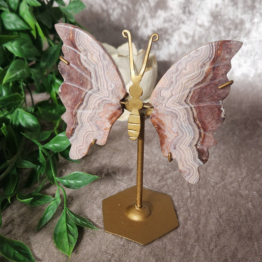 Crazy Lace Agate Butterfly – Crystal of Transformation, Joy & Balance – Spellbound Crystal Boutique
