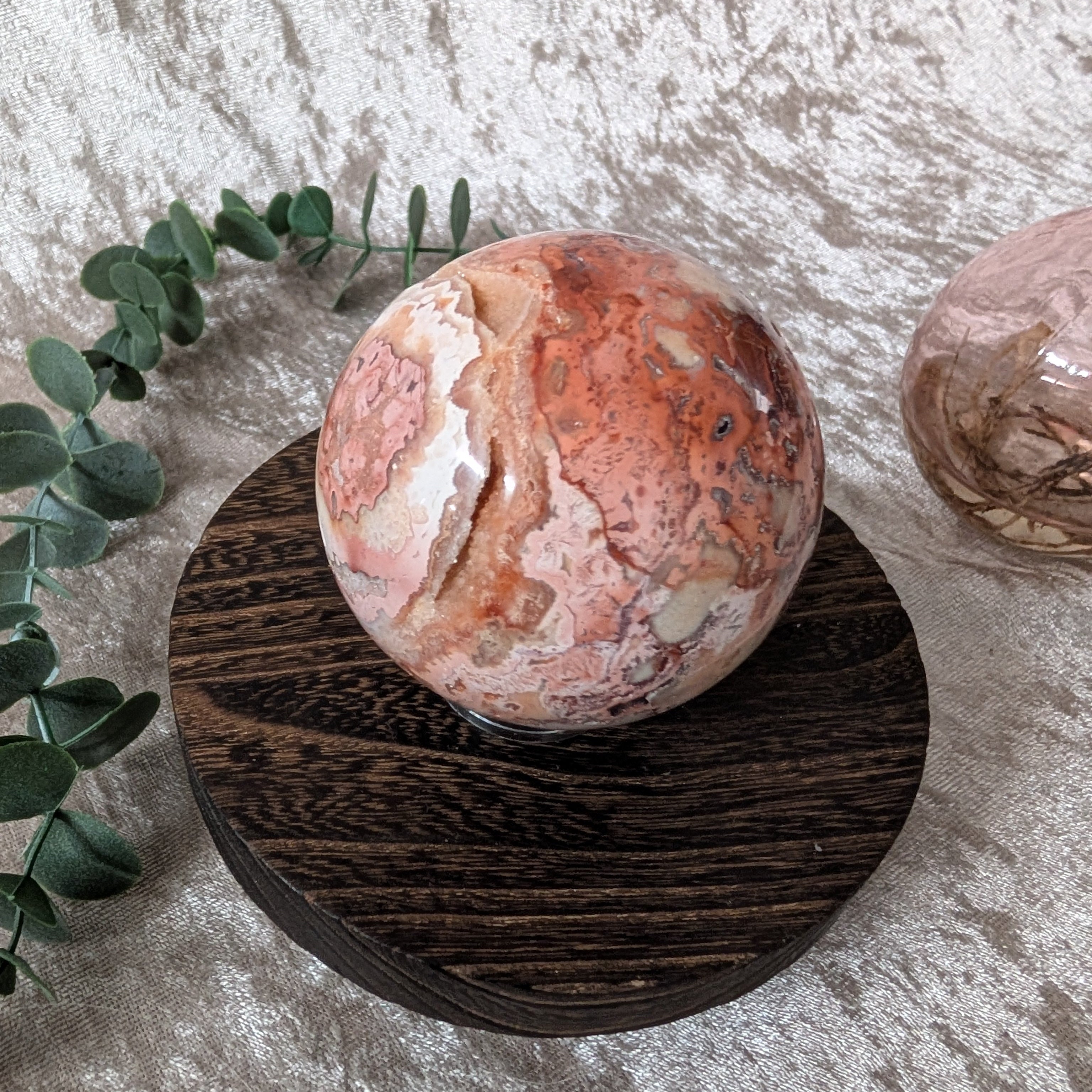 Crazy lace agate sphere styled with greenery on a wooden base for home or crystal display