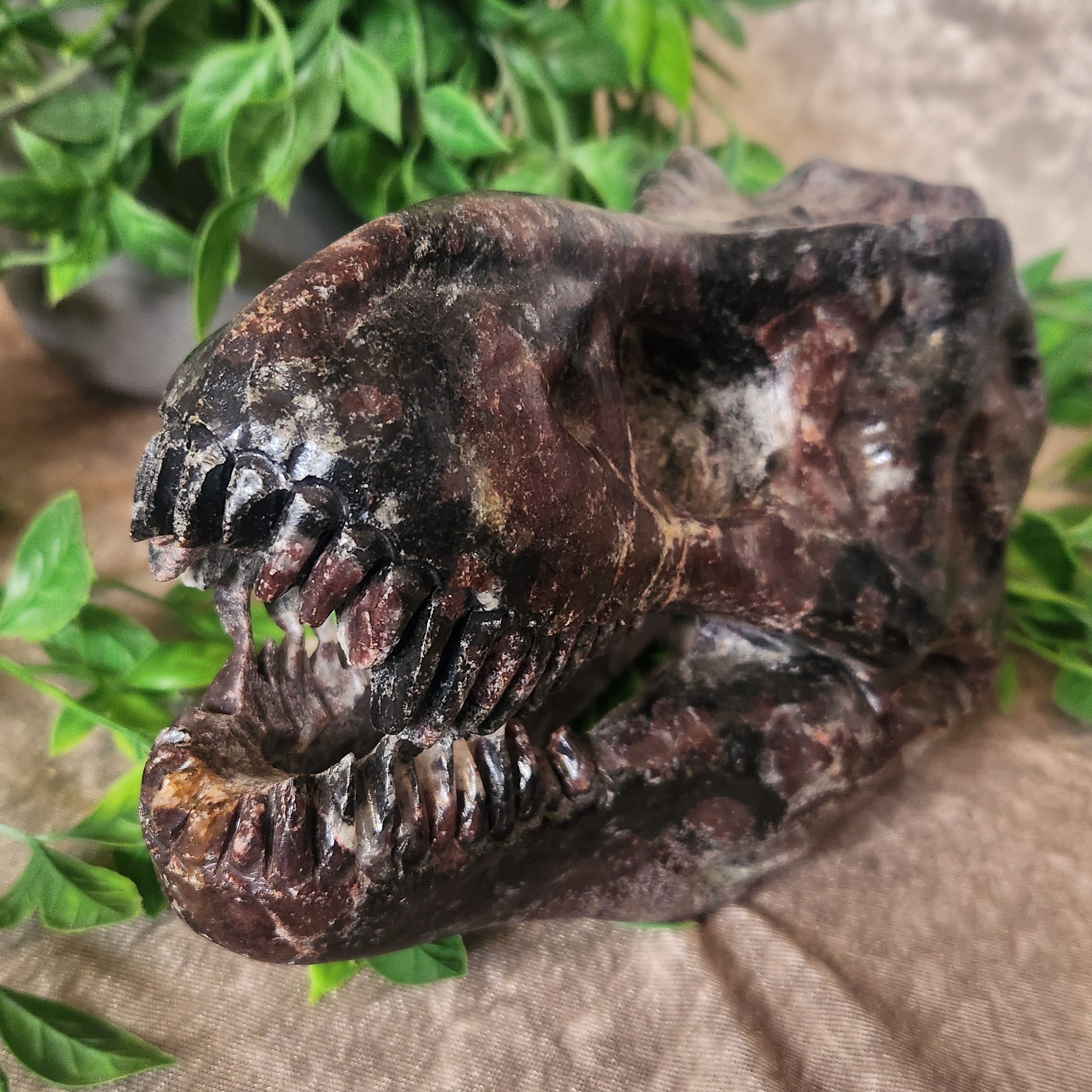 Expertly hand crafted Dinosaur Skull showing sharp teeth. TRex design set on velvet fabric with greenery surrounding the piece