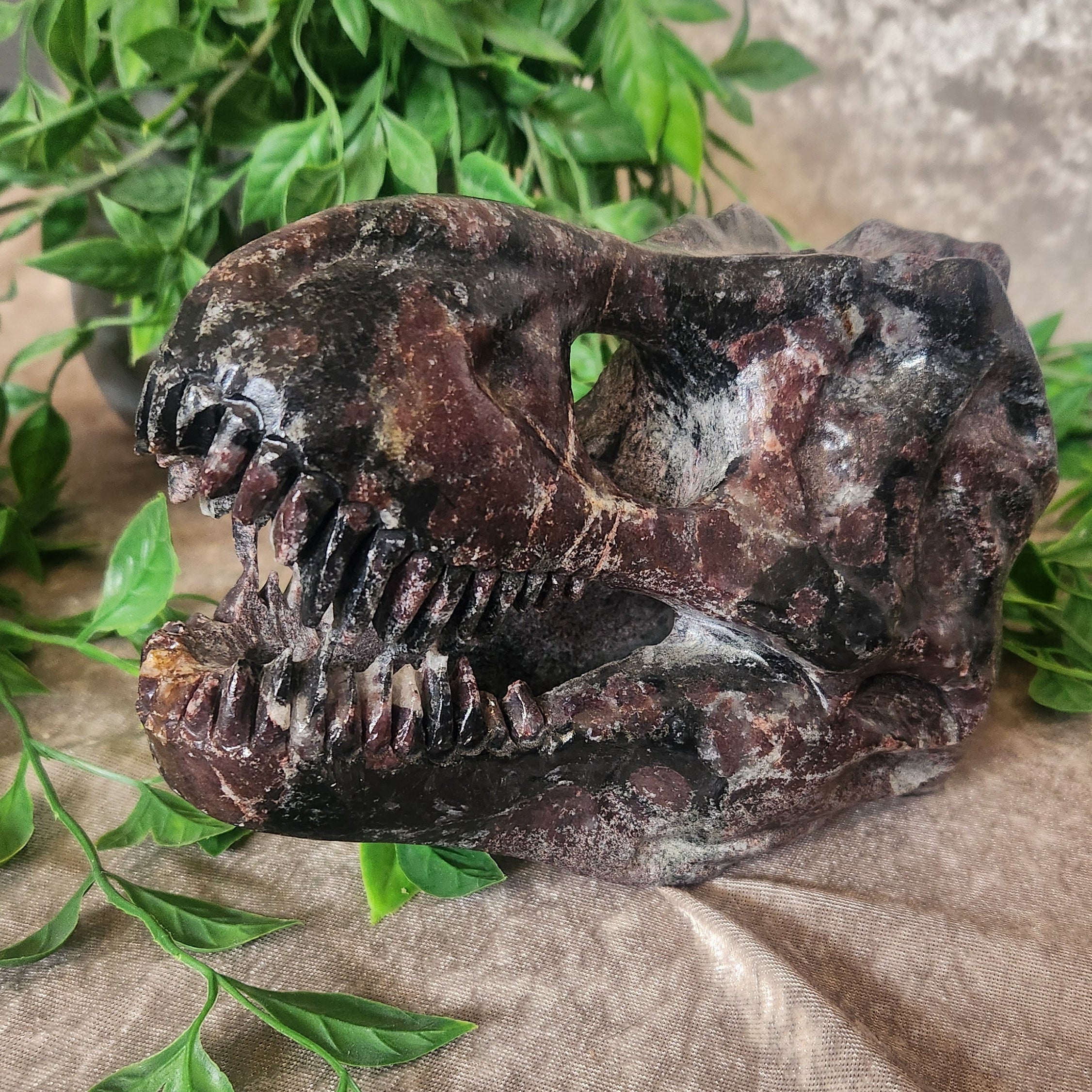 Large garnet in arfvedsonite crystal dinosaur skull carving with dark matrix and red garnet inclusions