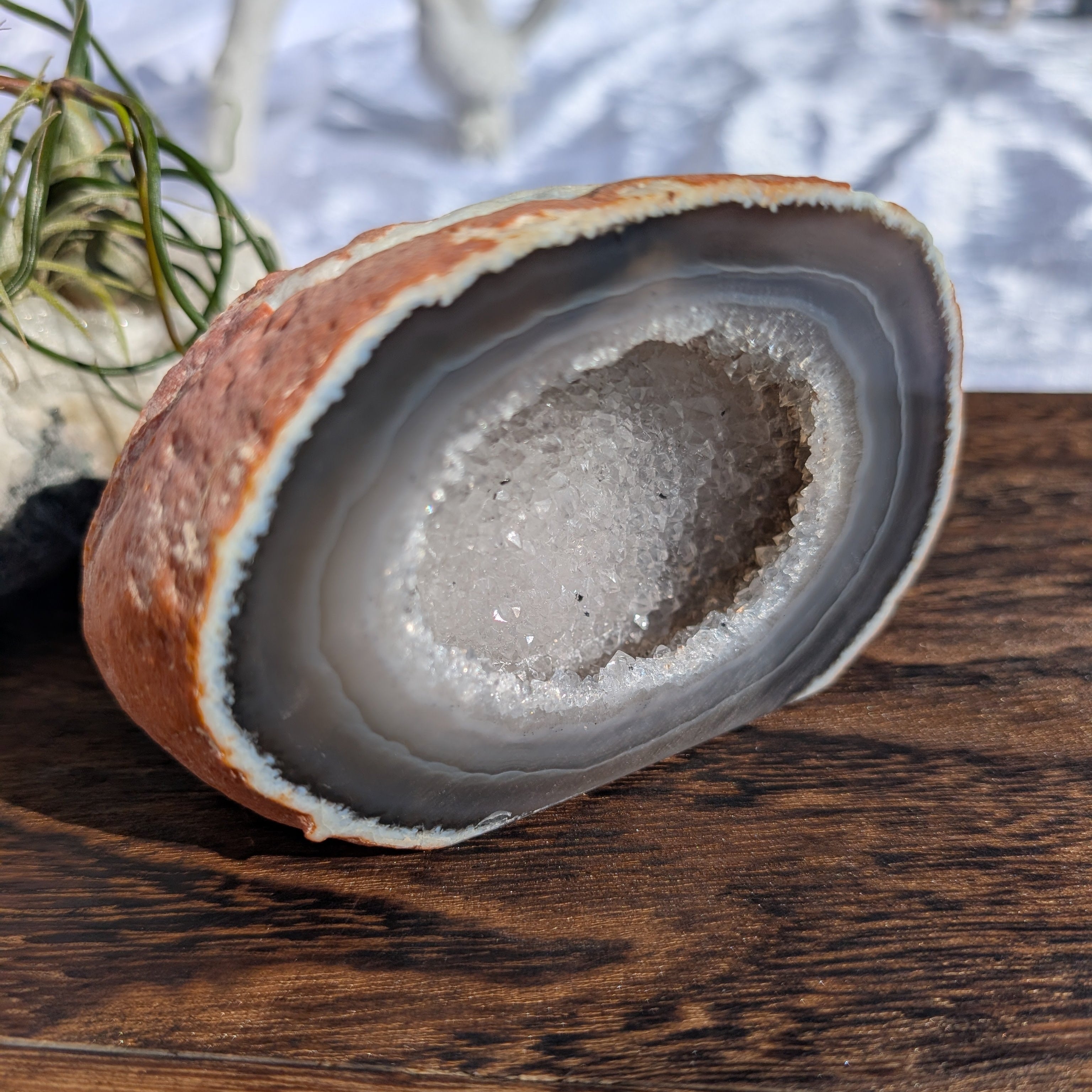 Side angle of large agate geode with impressive druzy