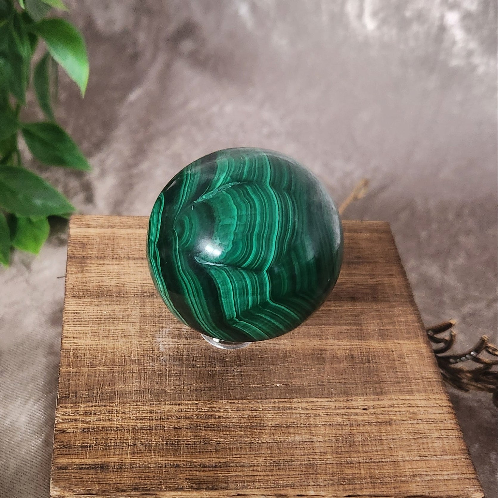 Hand-polished malachite sphere with distinctive circular formations