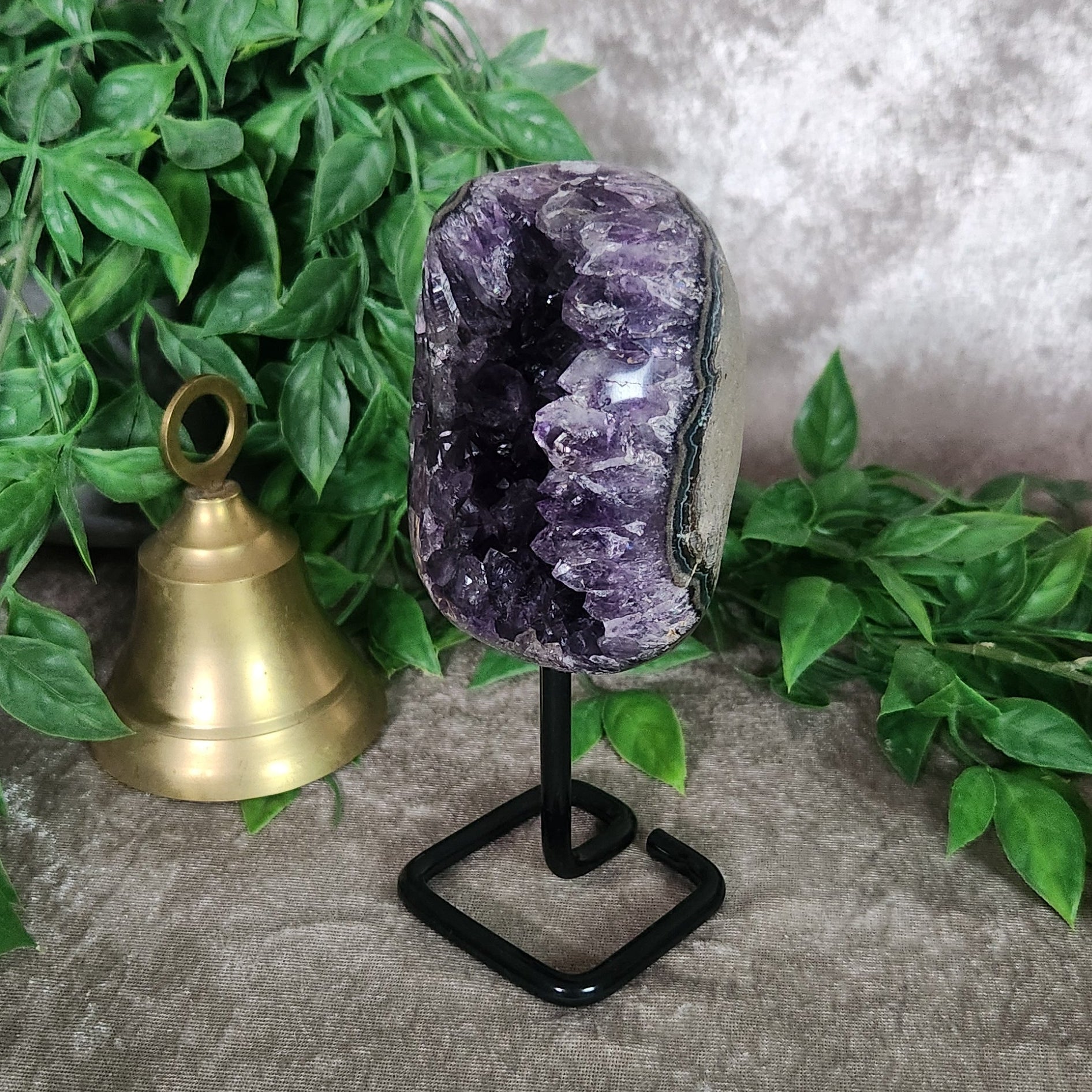 Natural amethyst geode crystal on stand showing sparkling druzy interior and polished outer edge