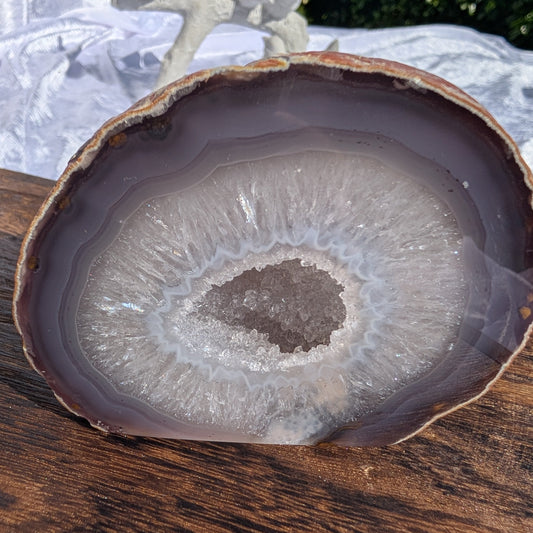 Sparkling Agate Geode with quartz druzy natural decor