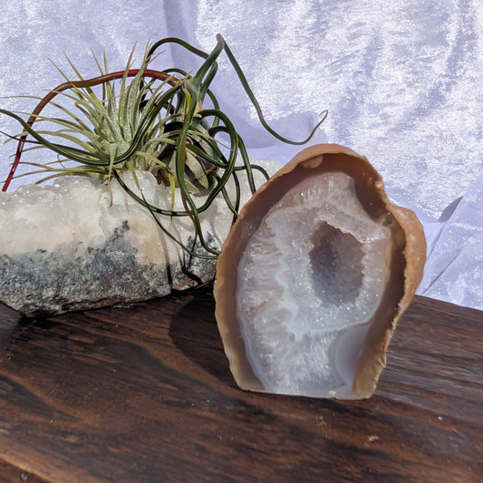 Golden Agate Geode – Warmth, Harmony & Grounding (258g) – Spellbound Crystal Boutique