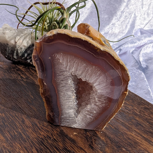 Red-Banded Agate Geode – Crystal for Strength, Grounding & Vitality – Spellbound Crystal Boutique