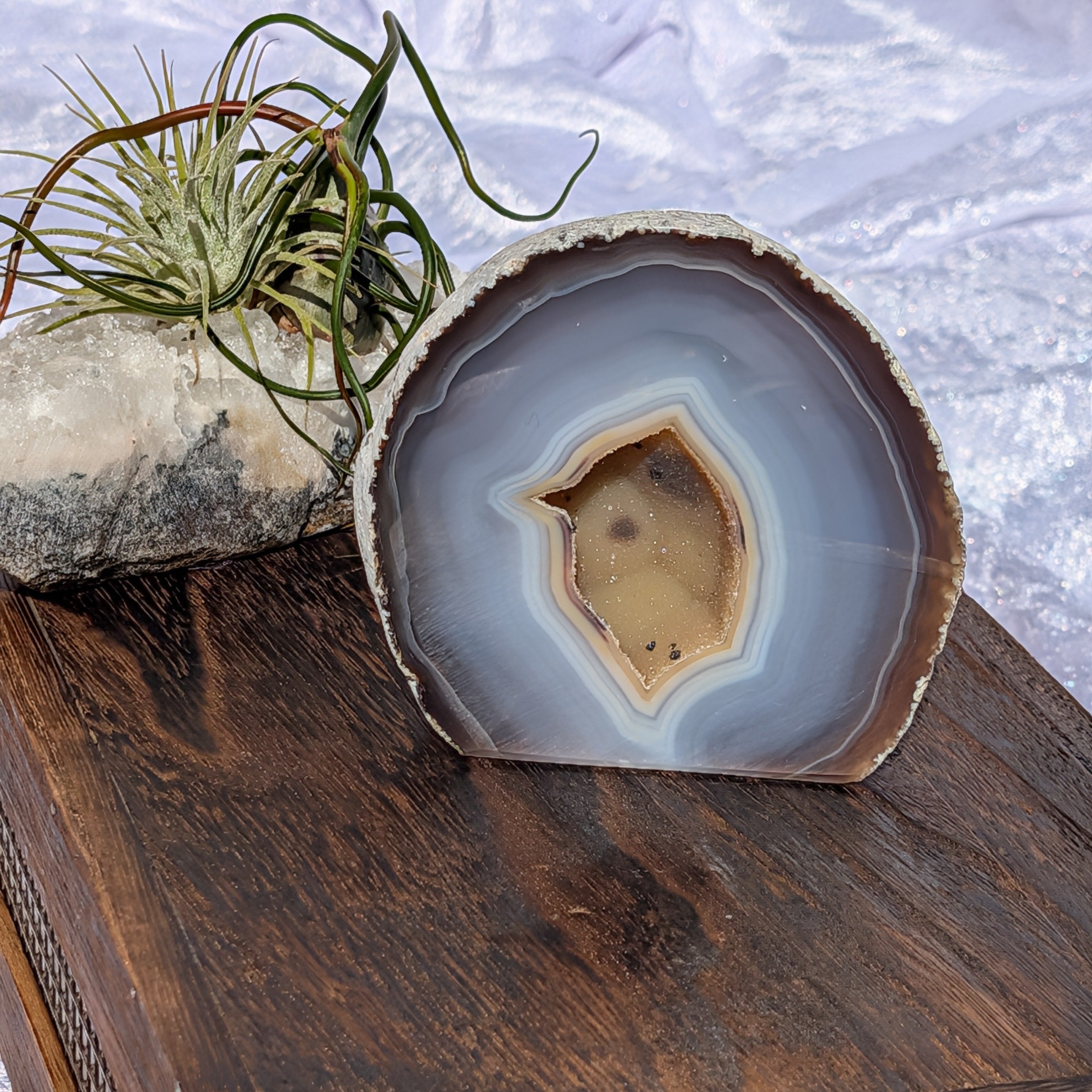 Polished Agate Geode with beautiful banding on wooden crate
