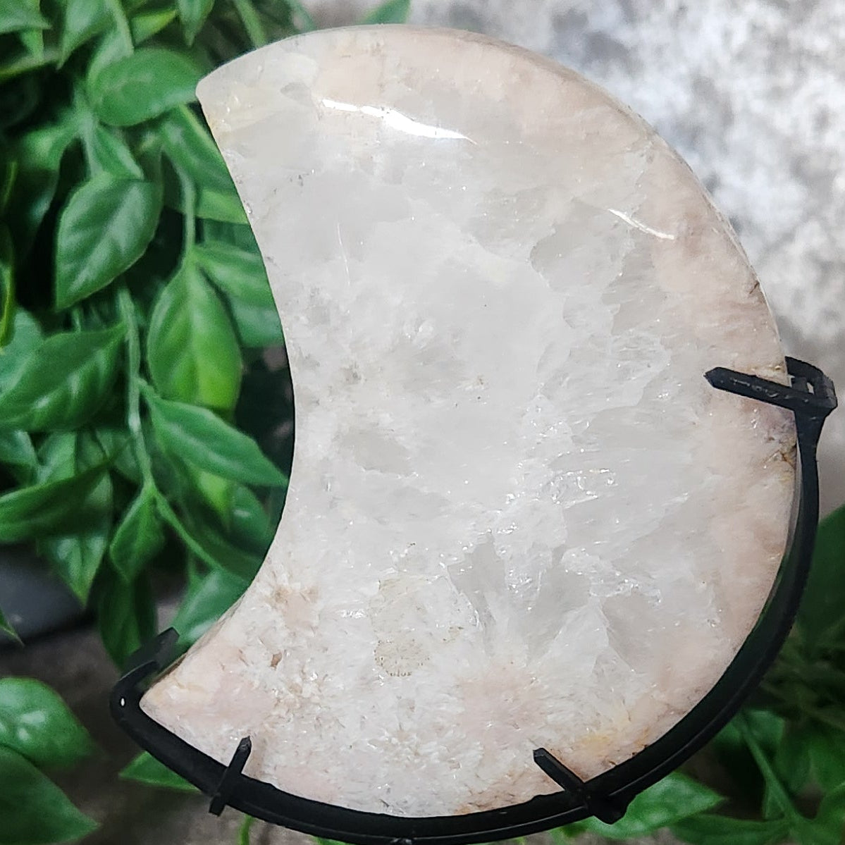 Milky Clear Quartz Moon on Black stand boho decor styling with velvet background and greenery