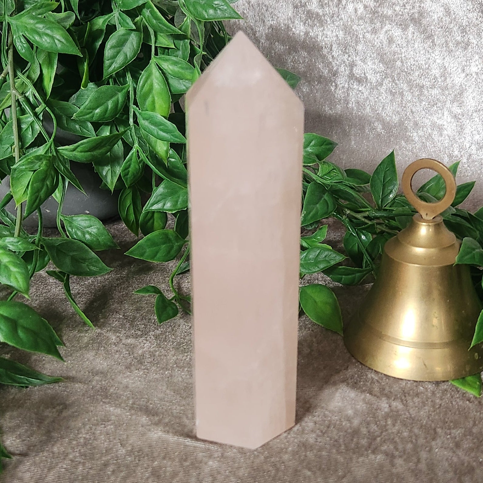 Natural rose quartz crystal generator standing upright with gentle pink colouring