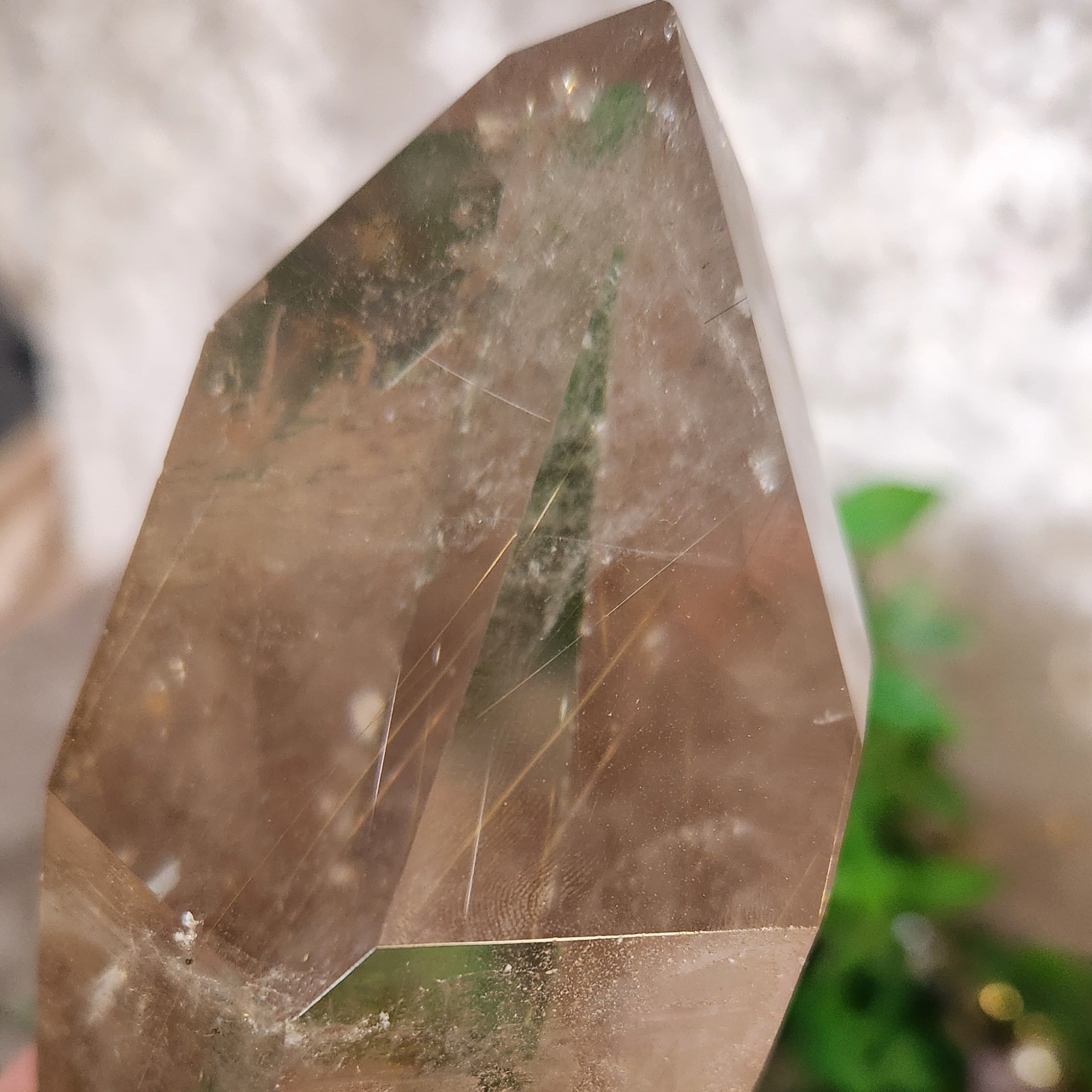 Brazilian clear quartz point with visible internal veils and light refraction