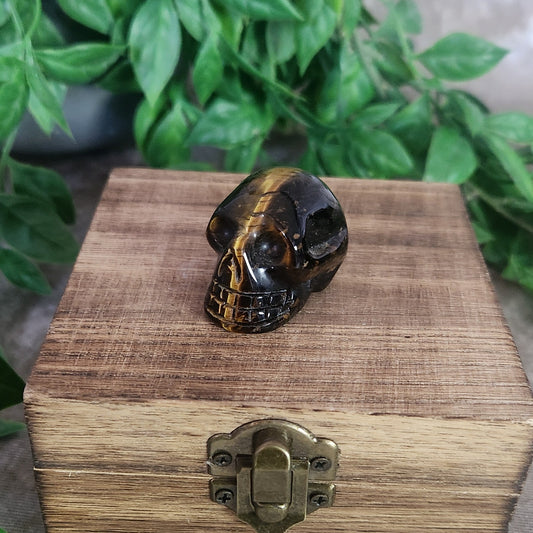 Tiger’s Eye skull crystal carving with golden brown banding displayed on wooden box