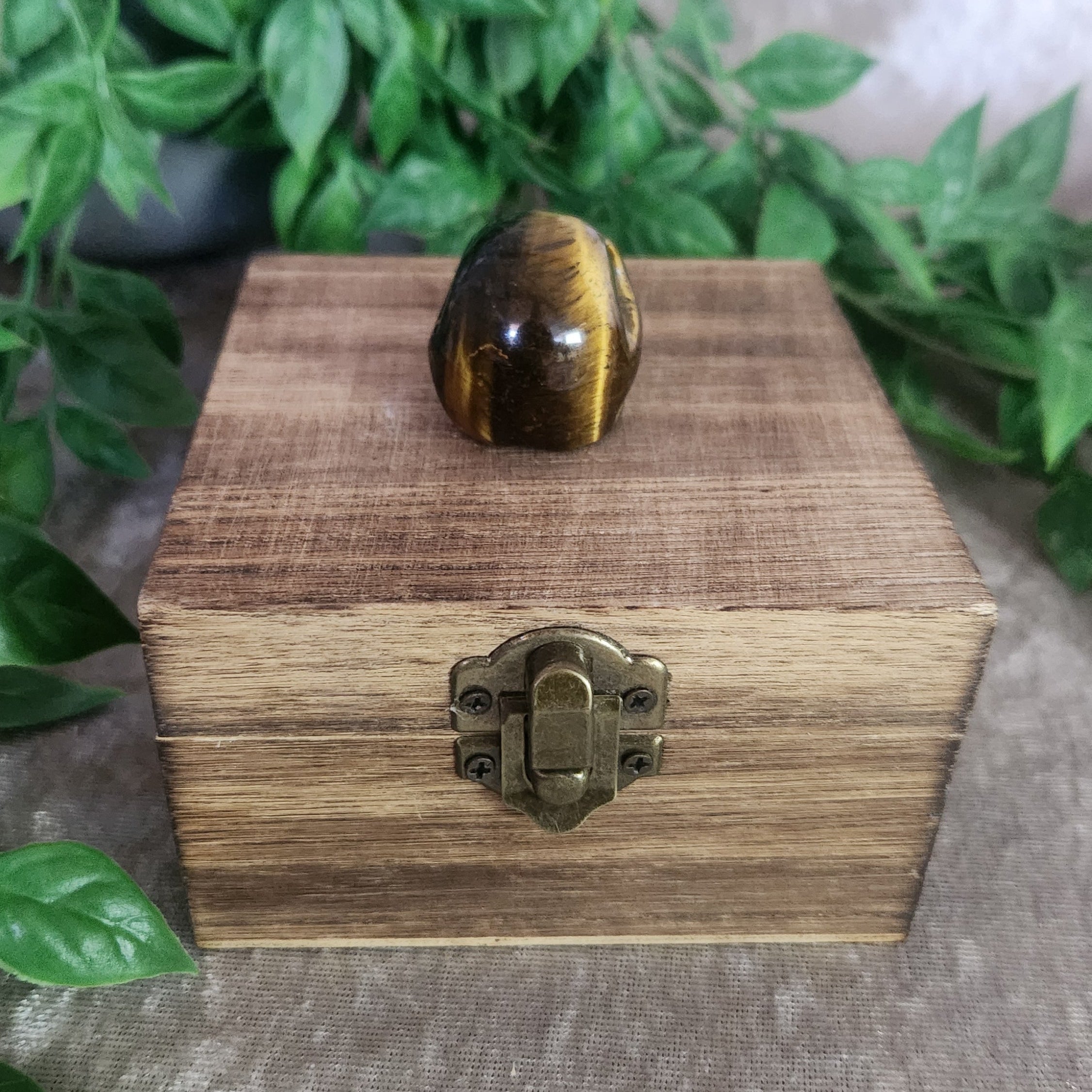 Hand-carved Tiger’s Eye skull crystal with rich golden tones for altar or display