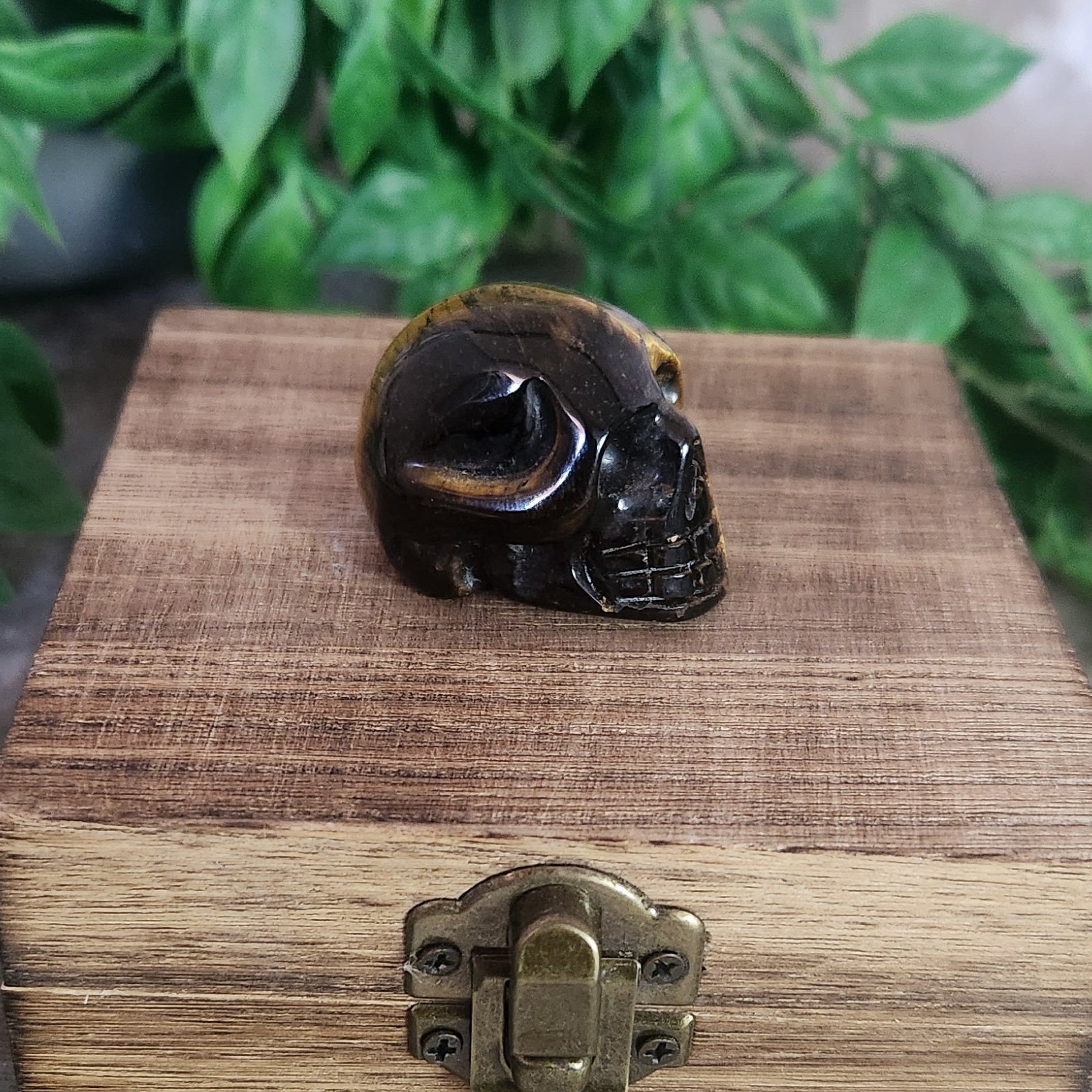 Polished Tiger’s Eye skull carving showing natural chatoyancy and detailed features