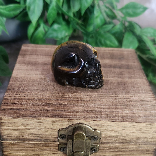 Polished Tiger’s Eye skull carving showing natural chatoyancy and detailed features