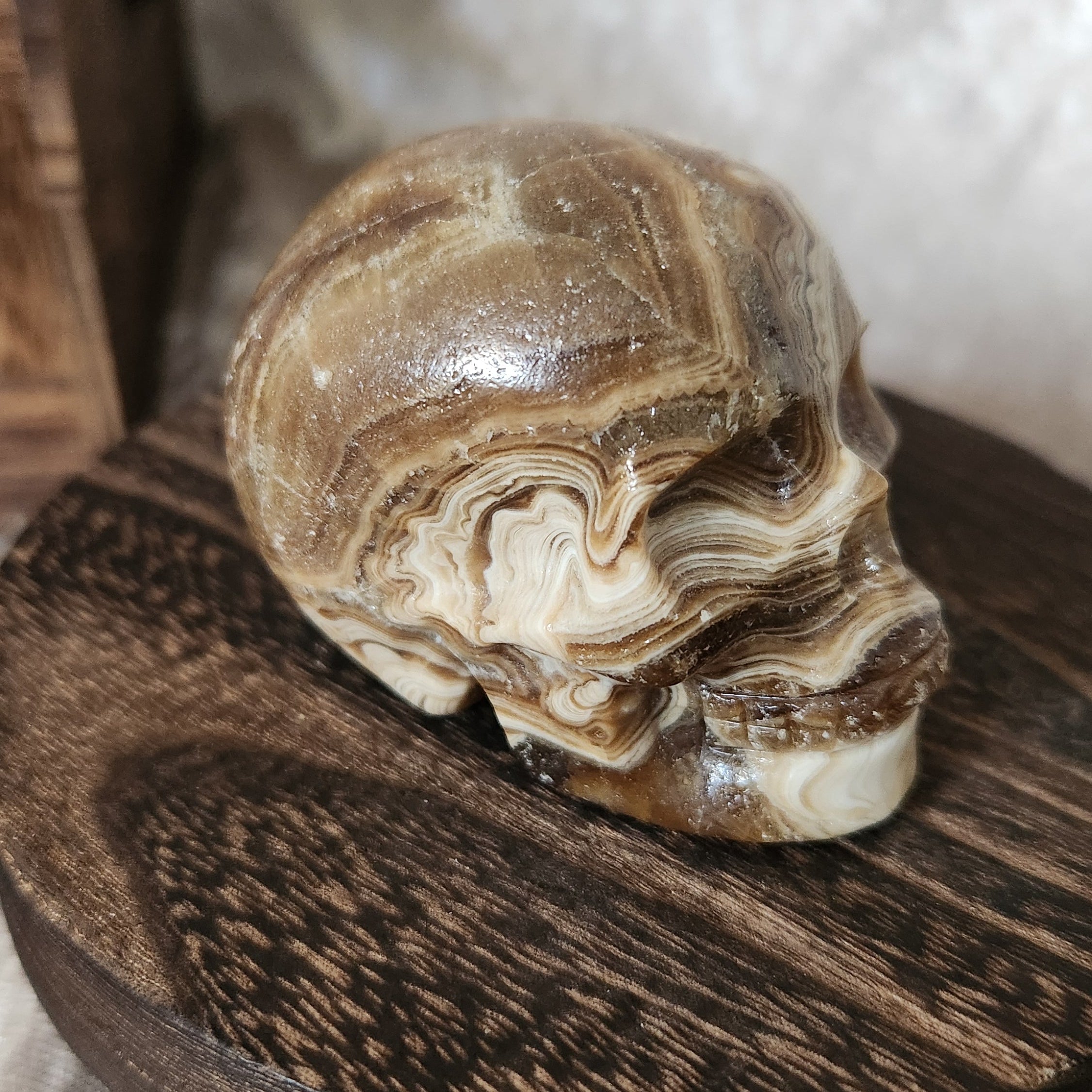 Natural chocolate calcite skull crystal carving