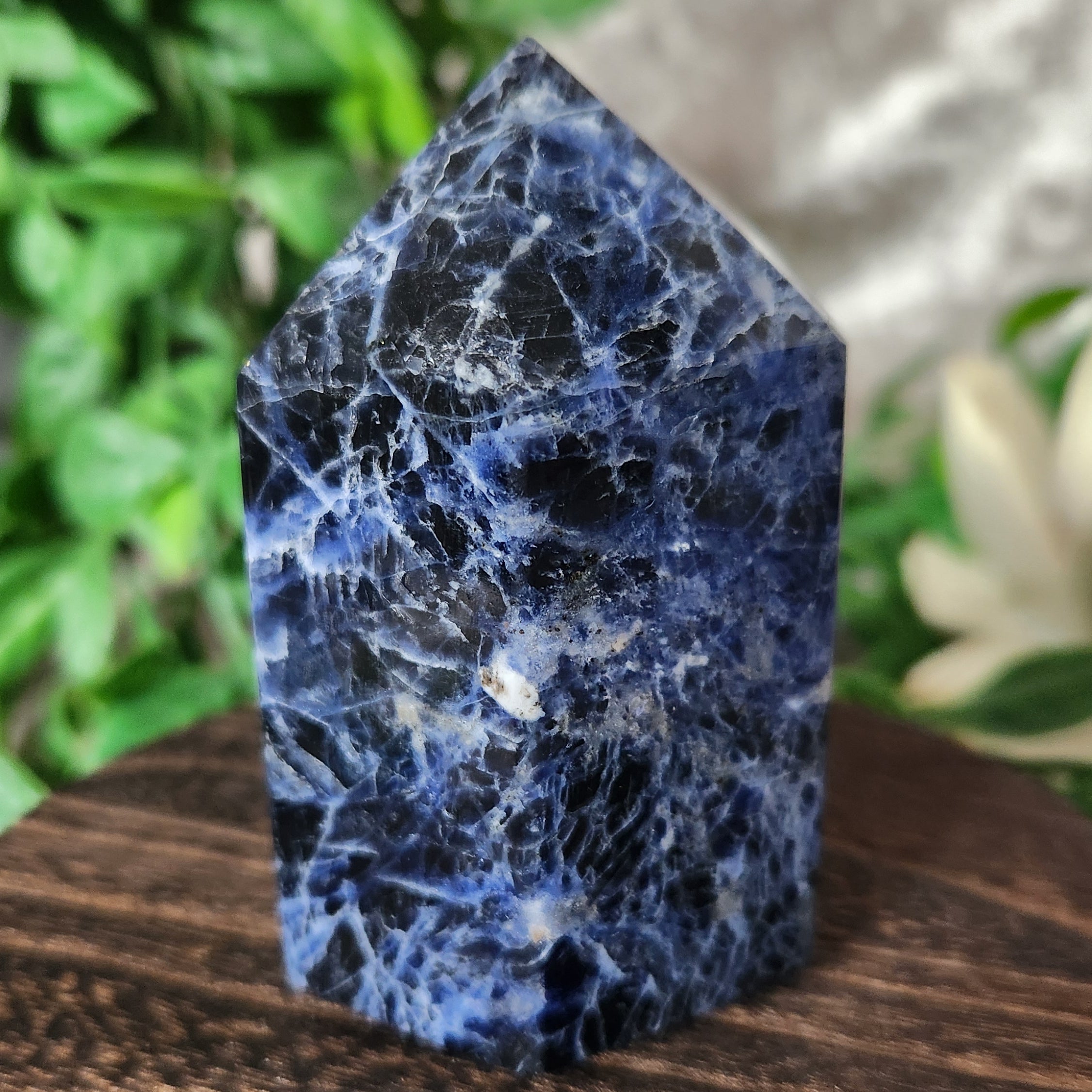 Deep blue sodalite crystal tower photographed upright on a wooden base with greenery