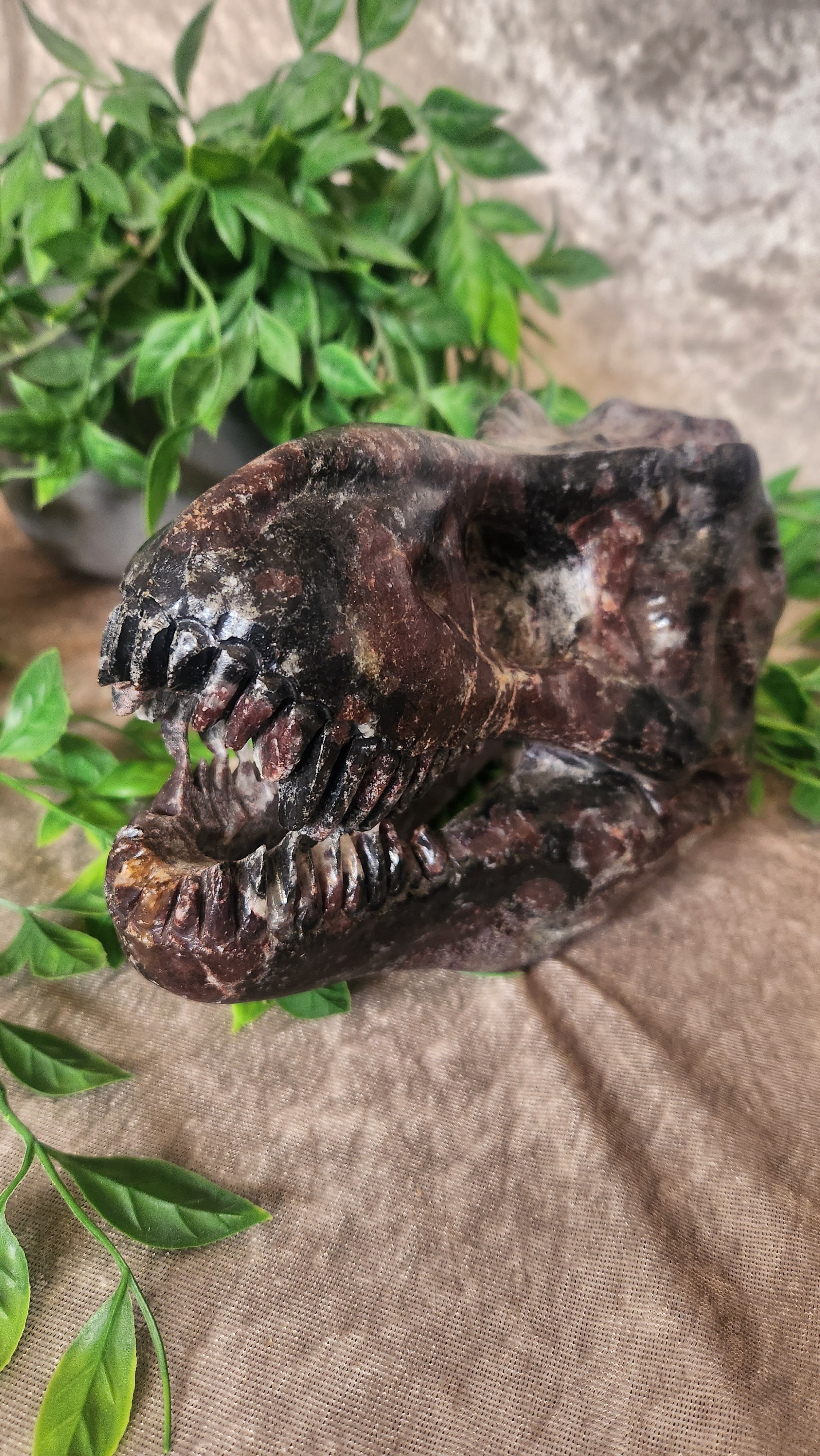 Garnet in Arfvedsonite Dinosaur Skull. Earthy energy piece symbolizing wisdom, grounding, and transformation.