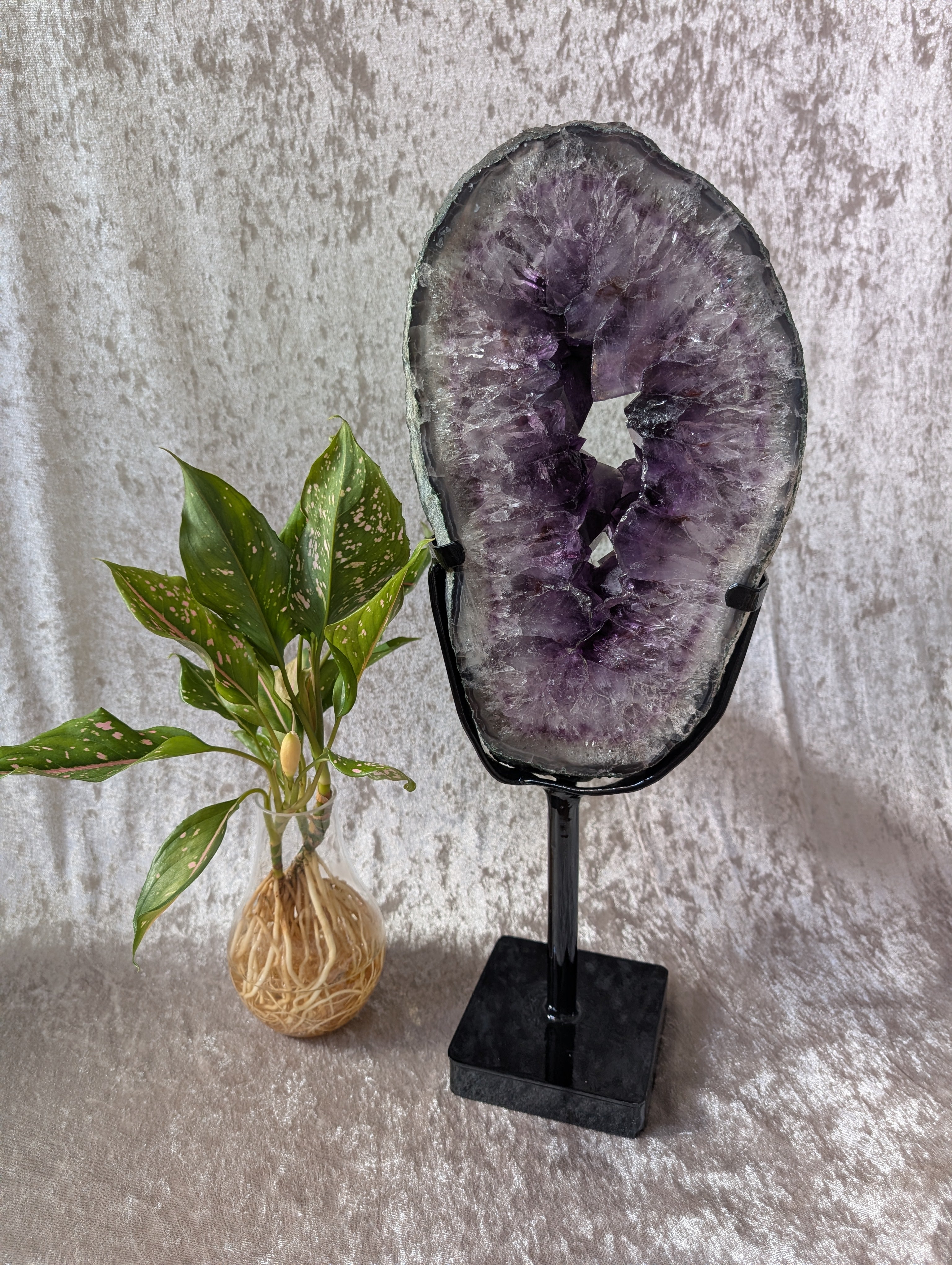 Amethyst geode with deep purple crystals on black stand. Protective healing crystal and home décor statement