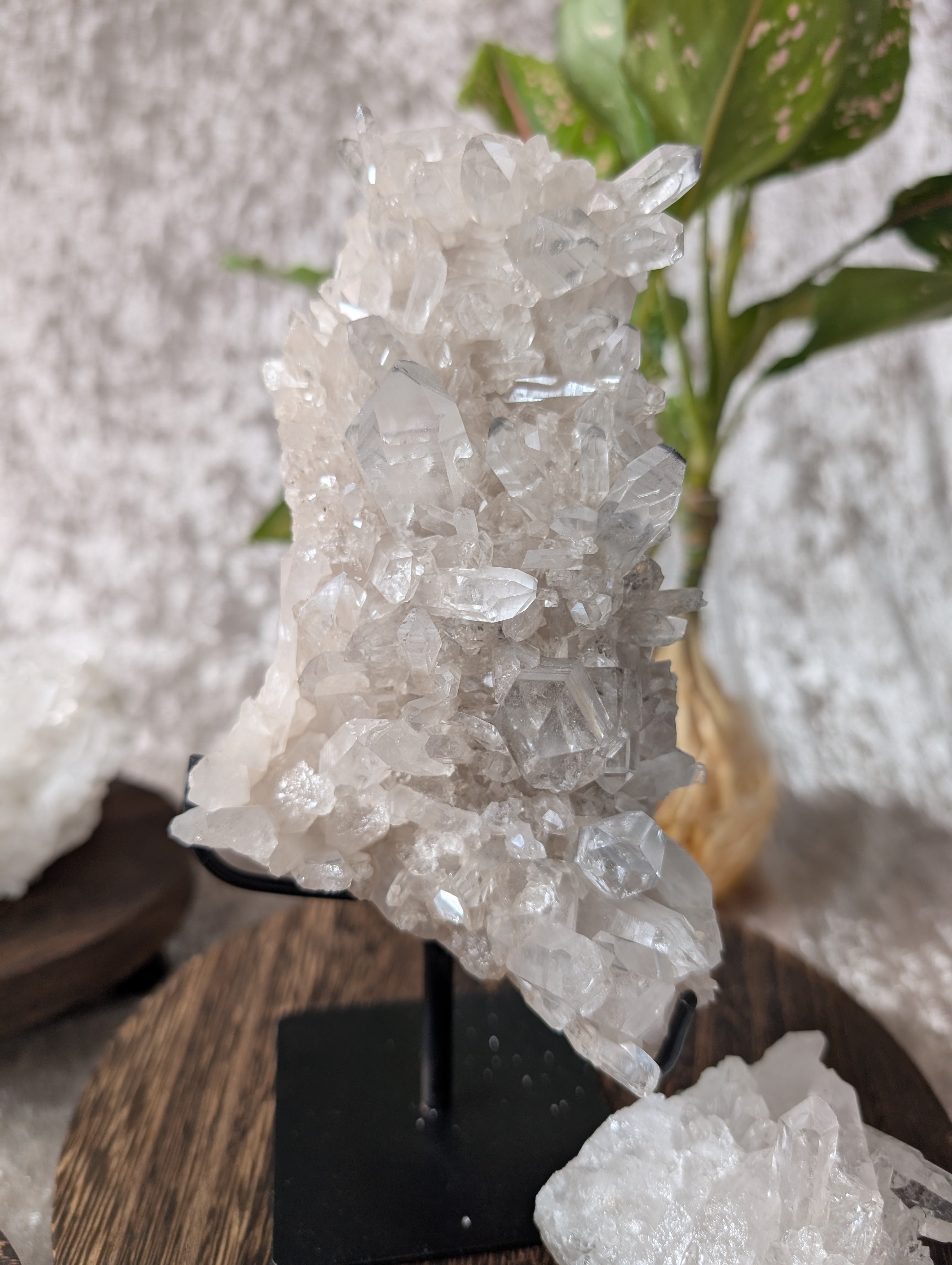 Clear Quartz crystal cluster on black base. Energy amplifier and healing stone for modern spiritual décor.