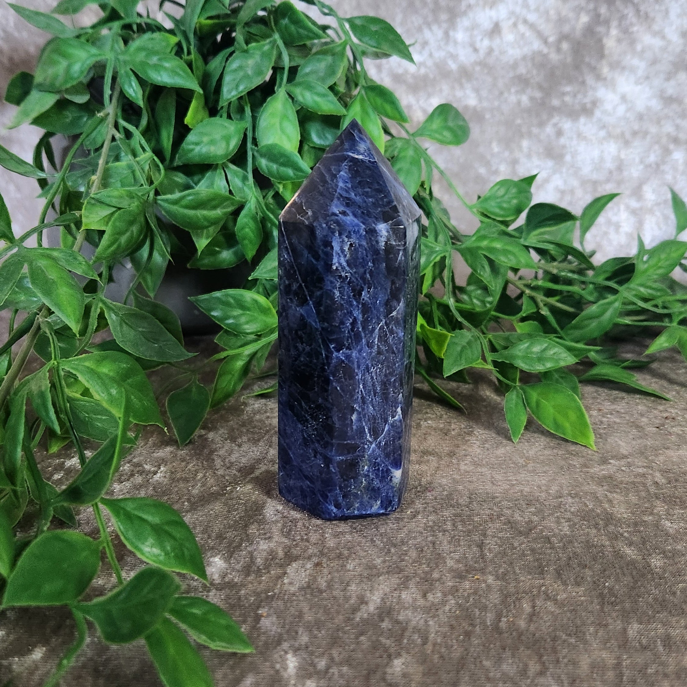 Natural sodalite crystal generator point with rich blue tones