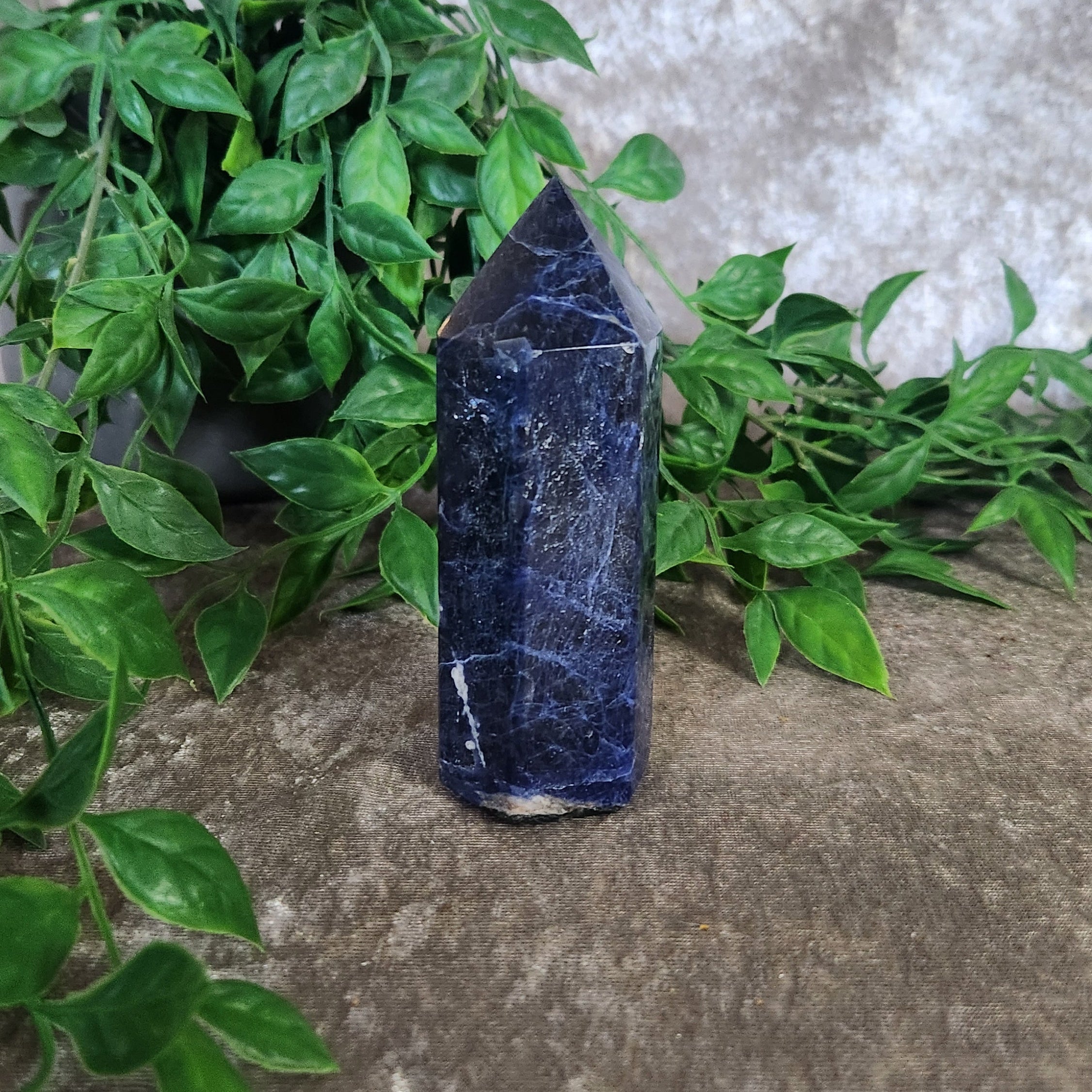 Polished sodalite generator with deep blue and white veining