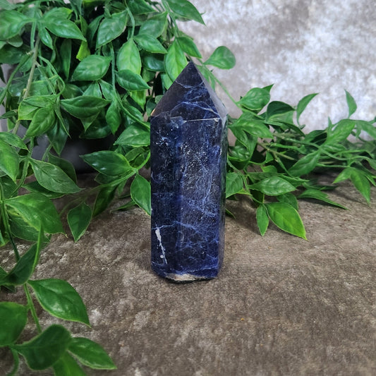Polished sodalite generator with deep blue and white veining